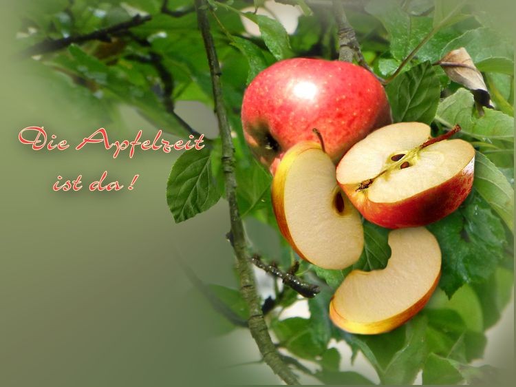 Apfelzeit