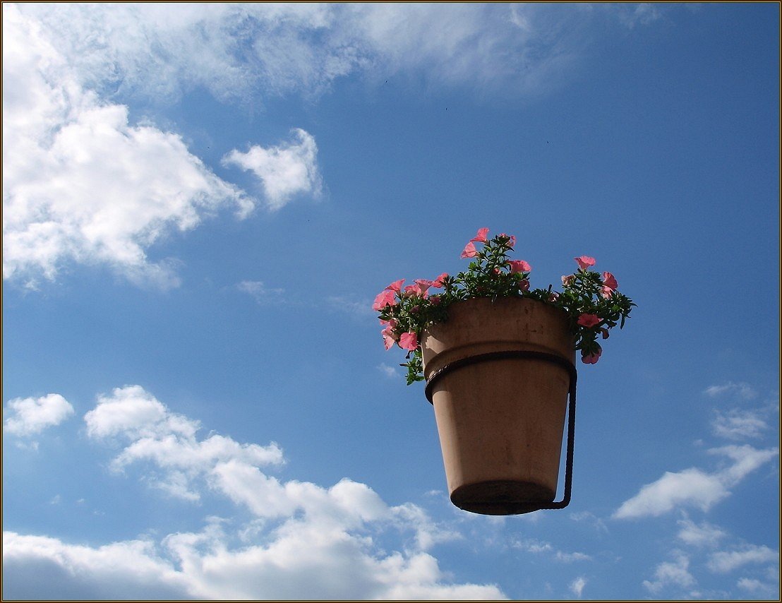 Zeit, die Blumen rauszustellen