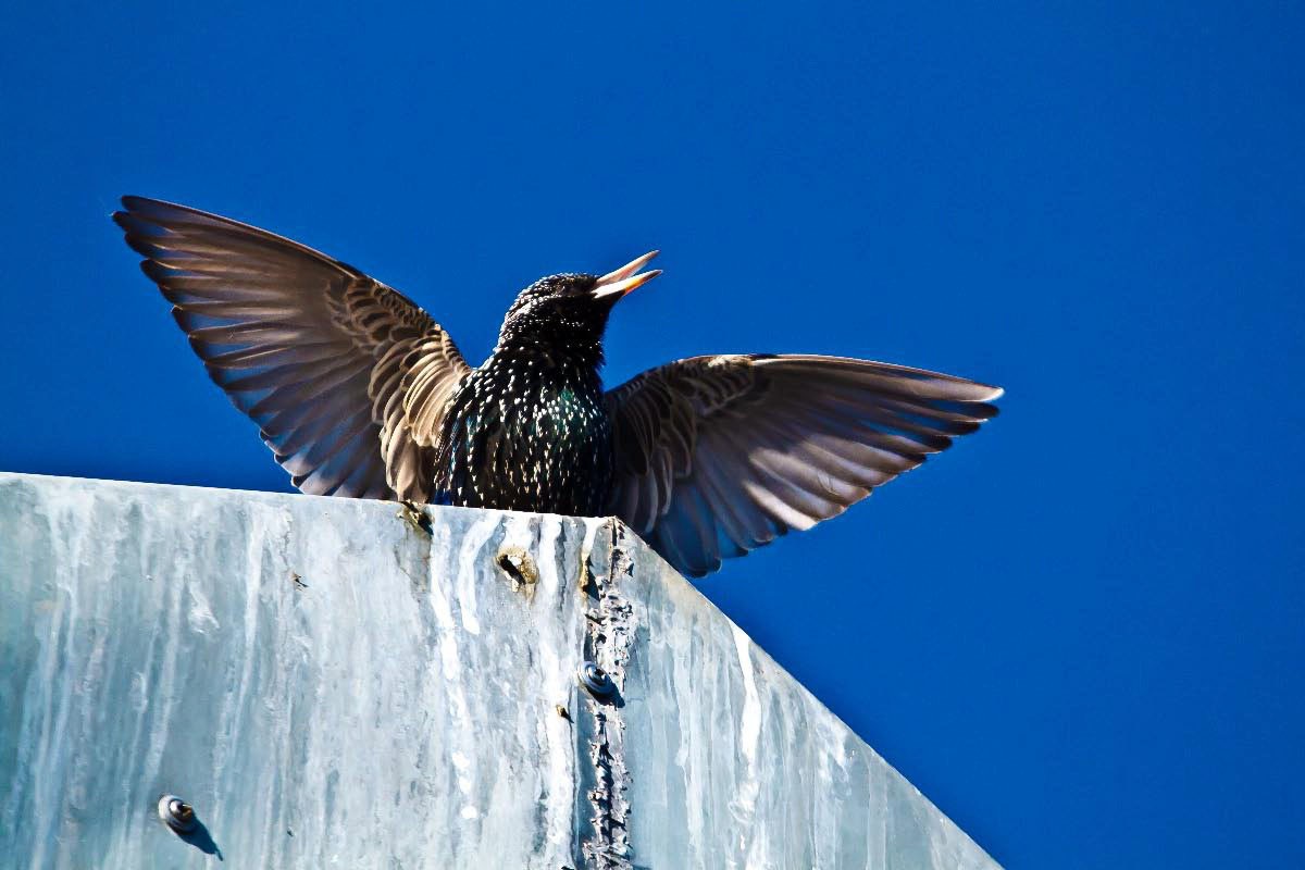 Der Frühling kommt näher.