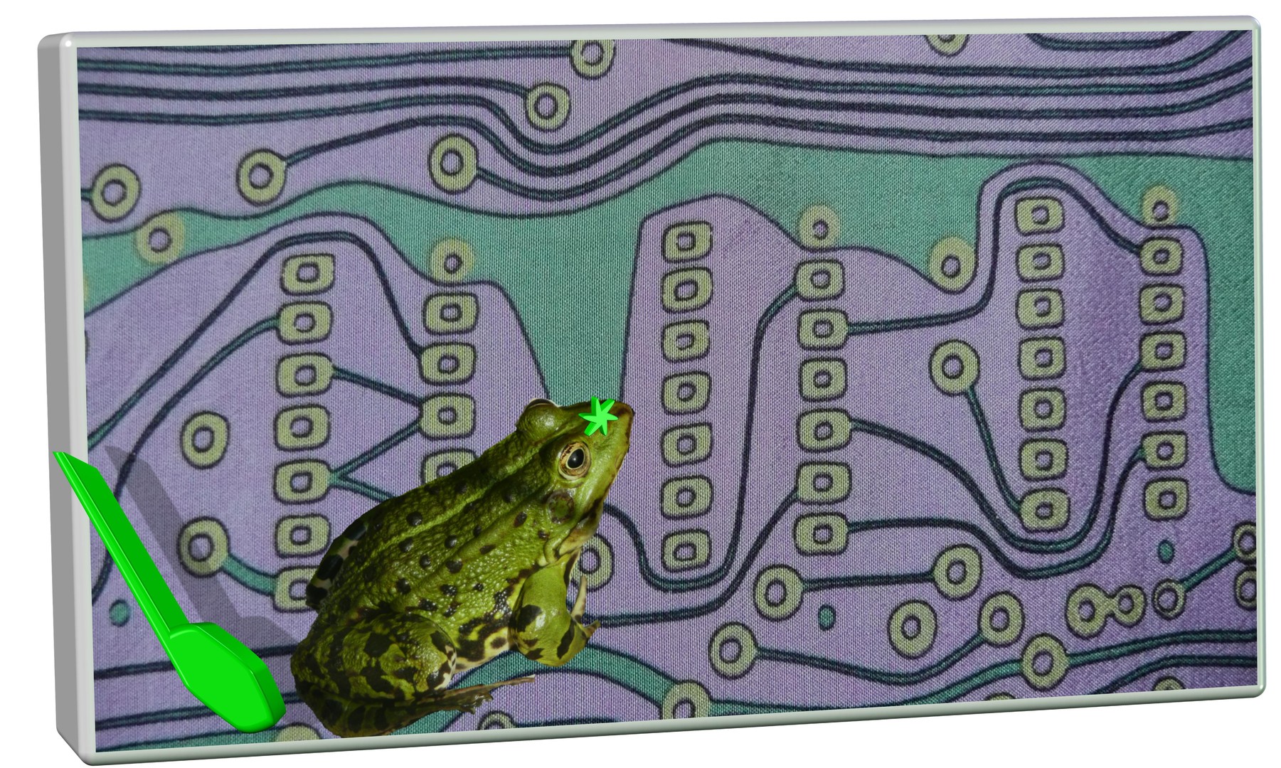 Leiterplatte mit Frosch