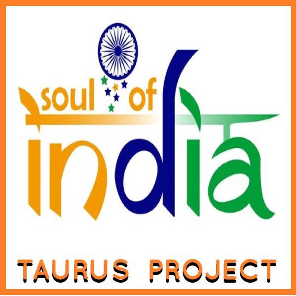 Taurus Project - Soul Of India Part 5 (Storm Over The Ganges Mix)