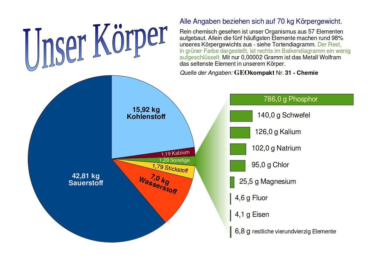Unser Körper