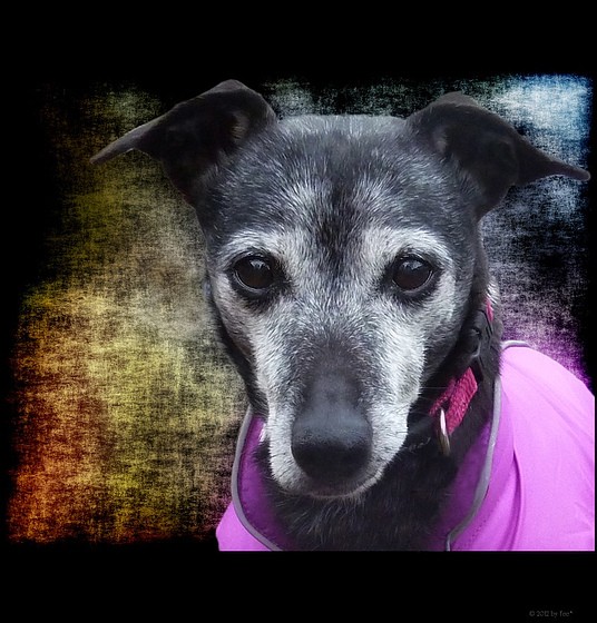 Gretchen *•.¸♥¸.•*¨