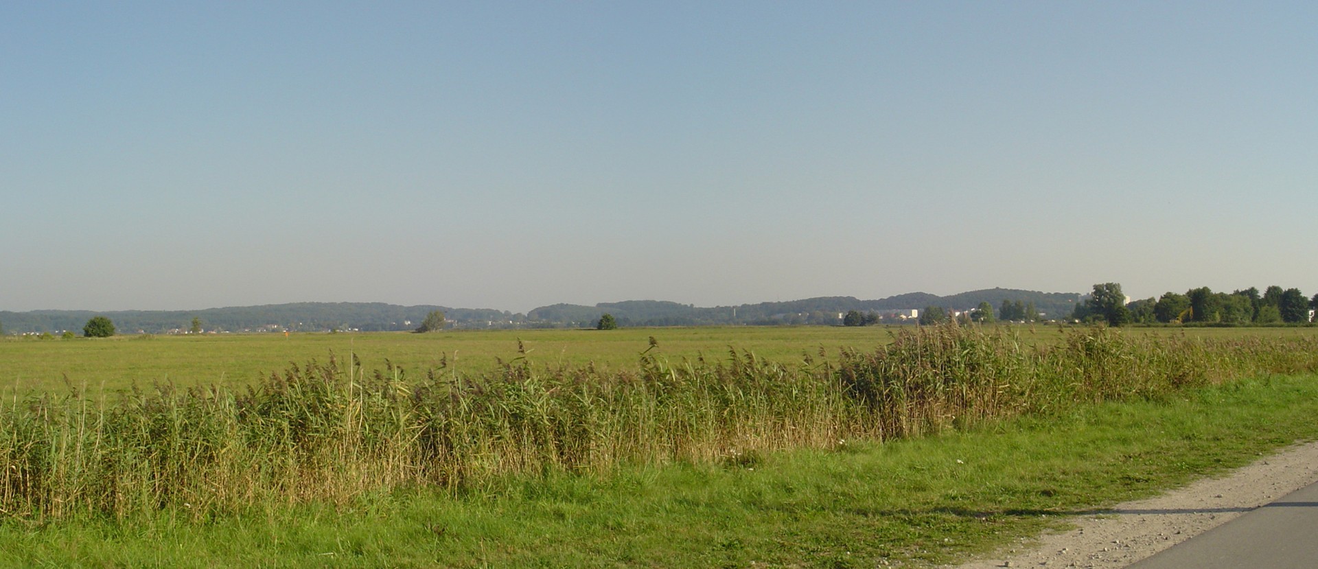 Panorama