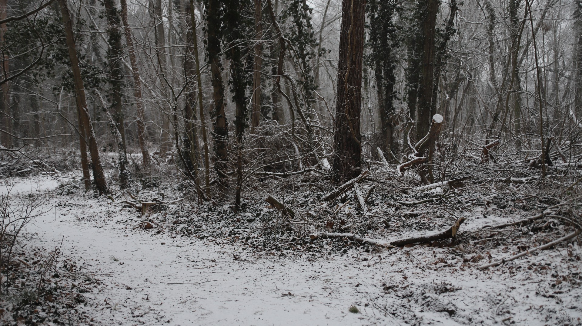 Gepuderte Landschaft