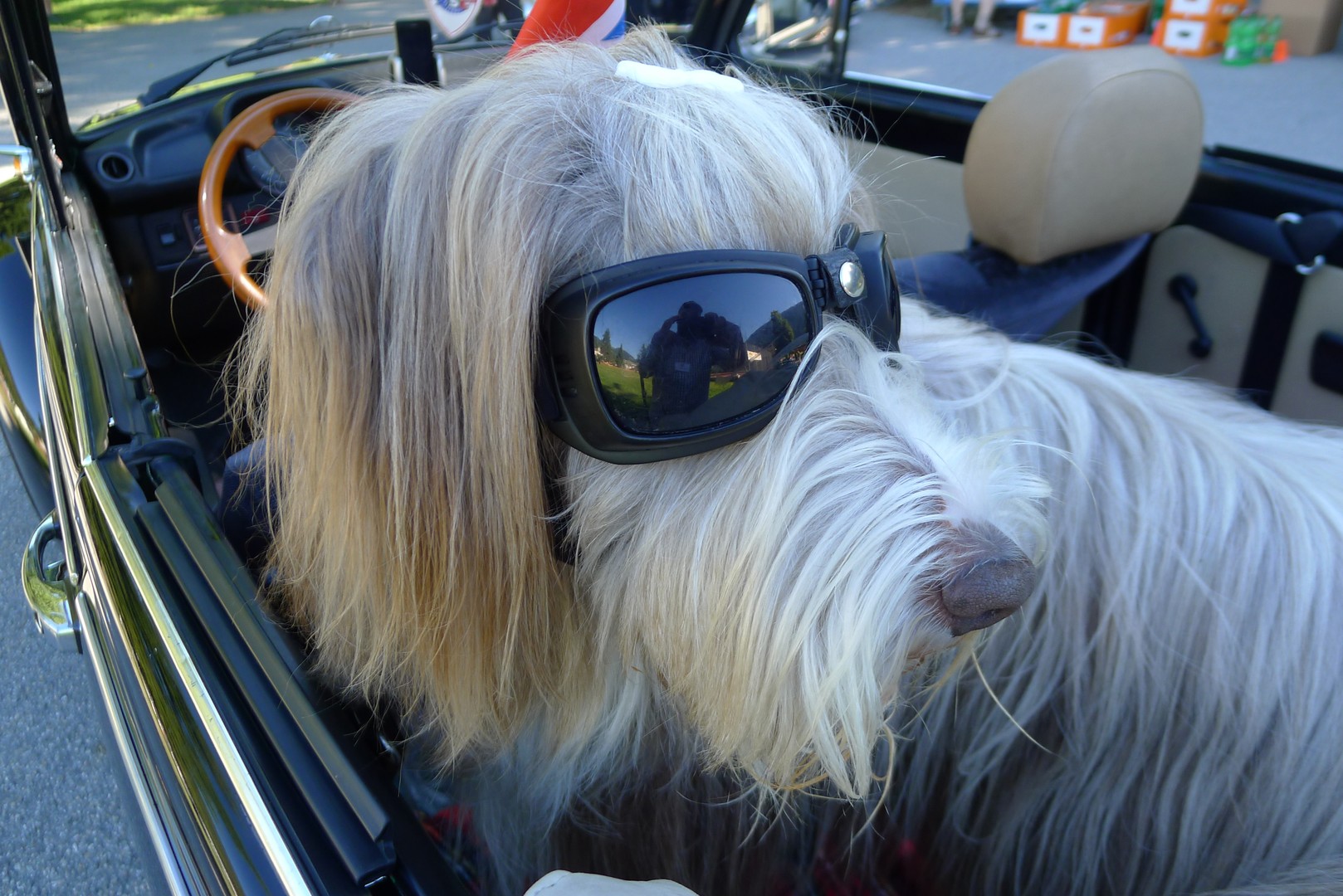 Cabriofahren ist so cool