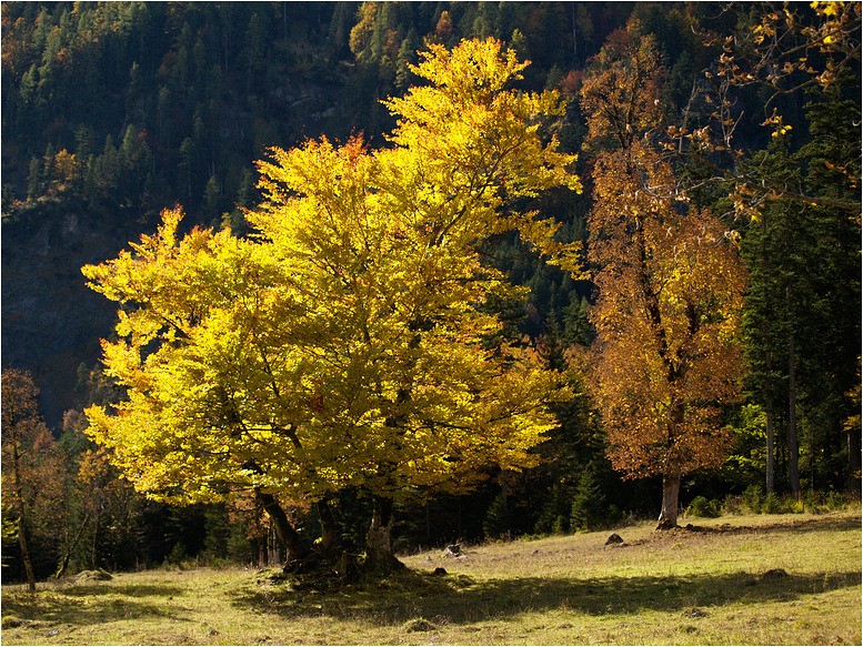  herbst