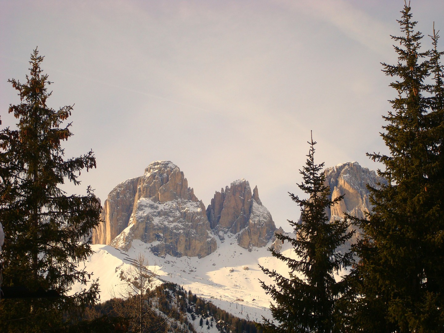 Saslonch 