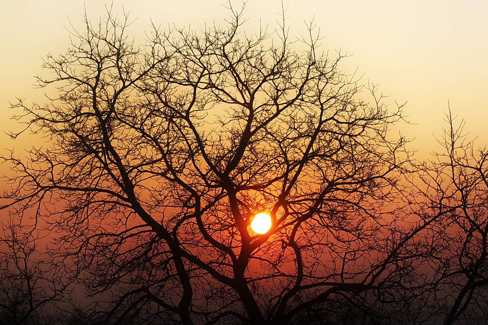 Abendrot