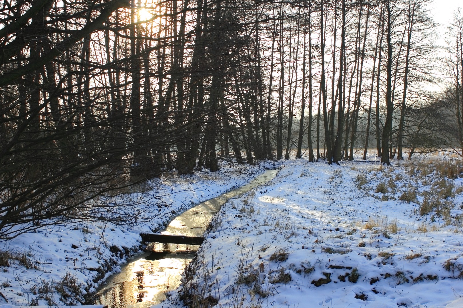 Winter in Brandenburg