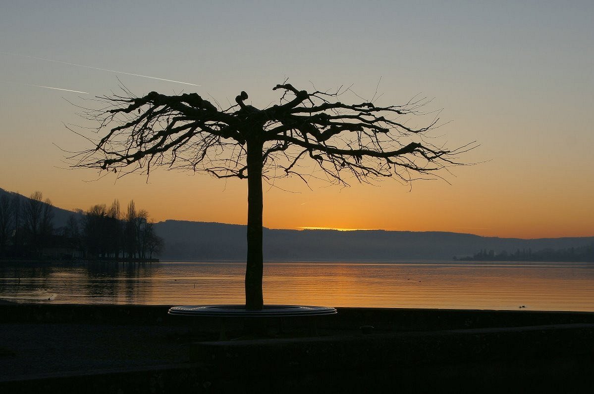 Ruhe am See