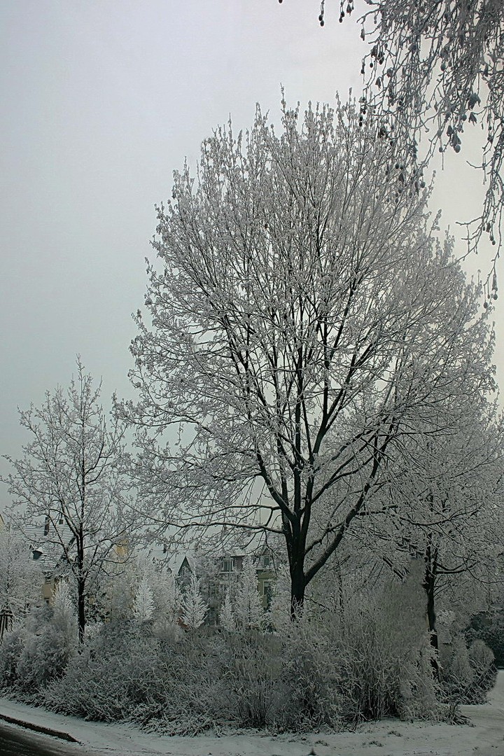 der Schnee entschwindet