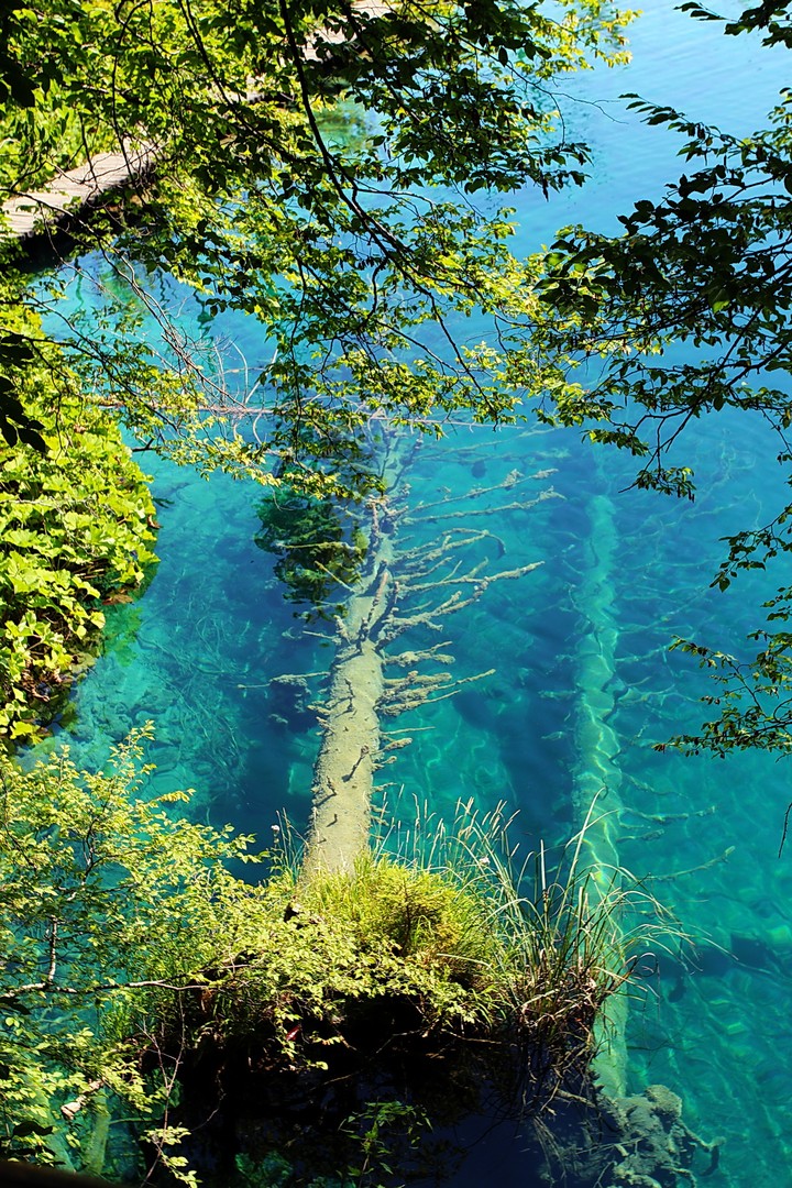 Natur pur