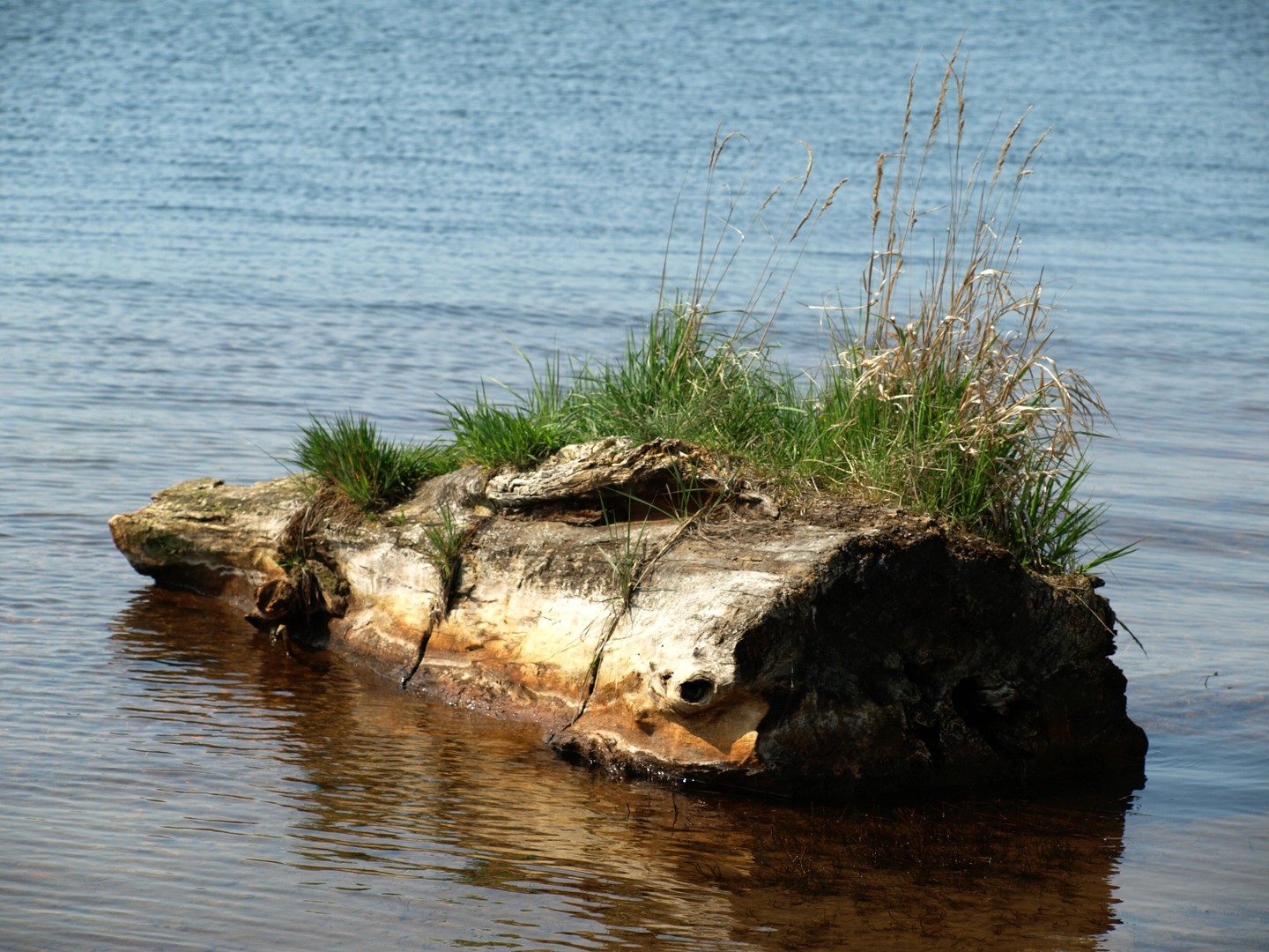Die Insel