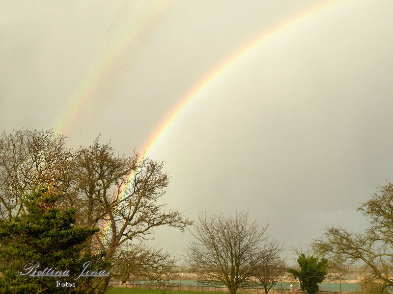 Regenbogen