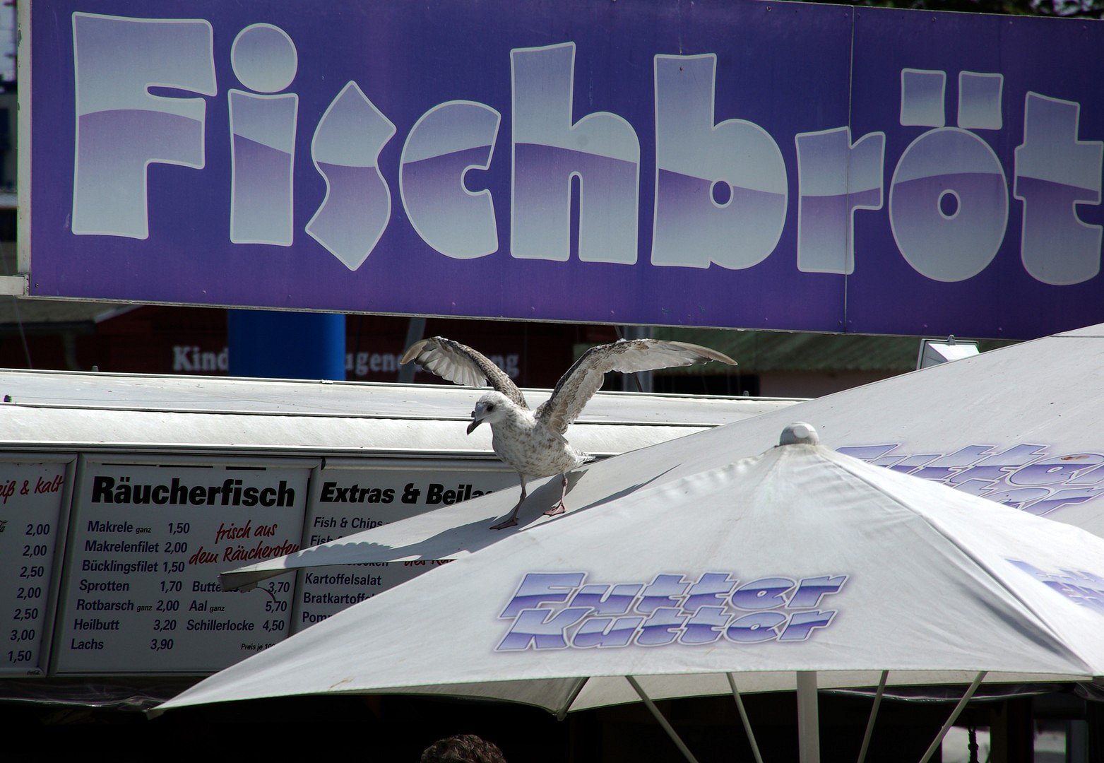 Fischbrötchen