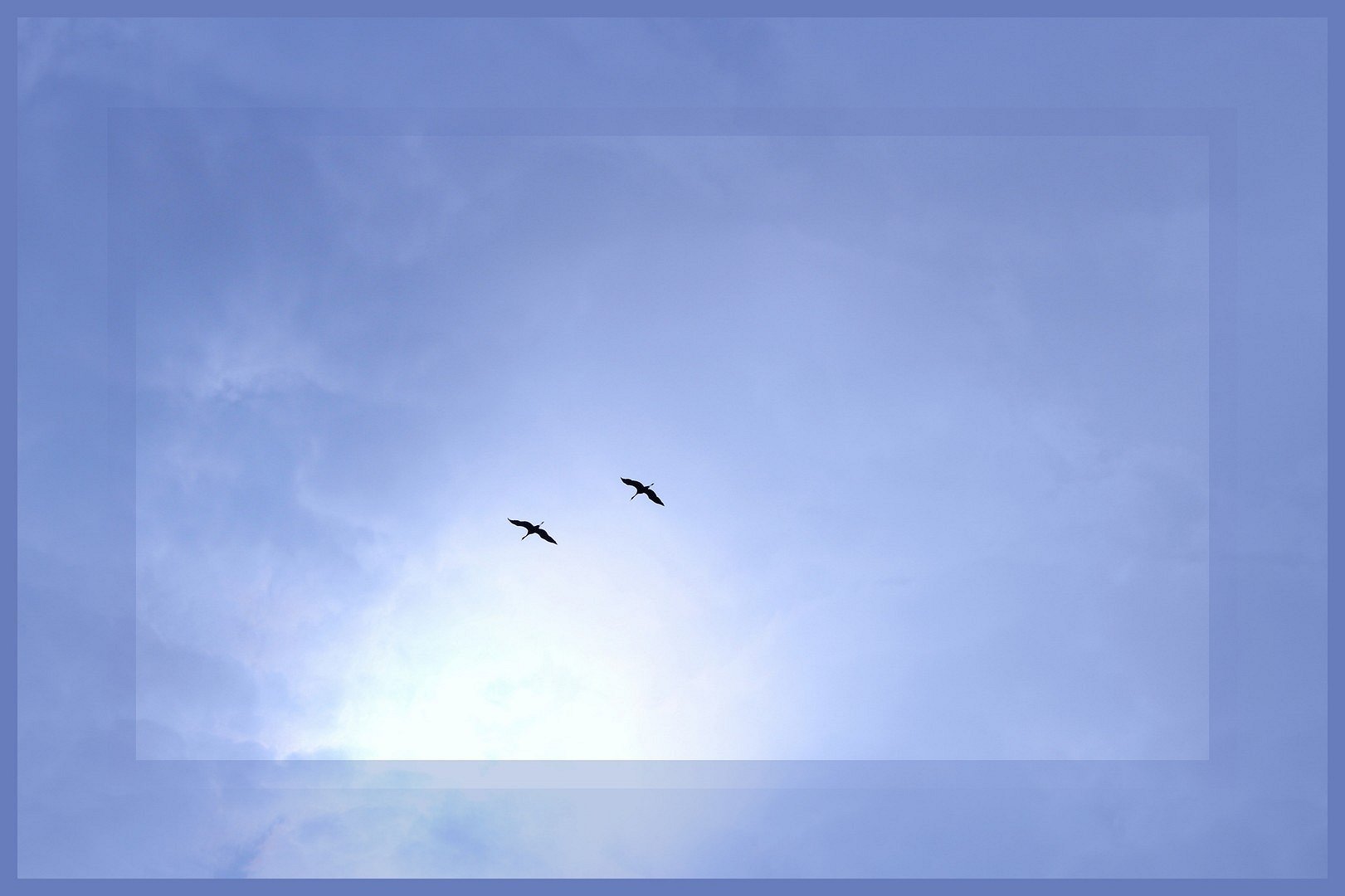 Der Sonne entgegen....