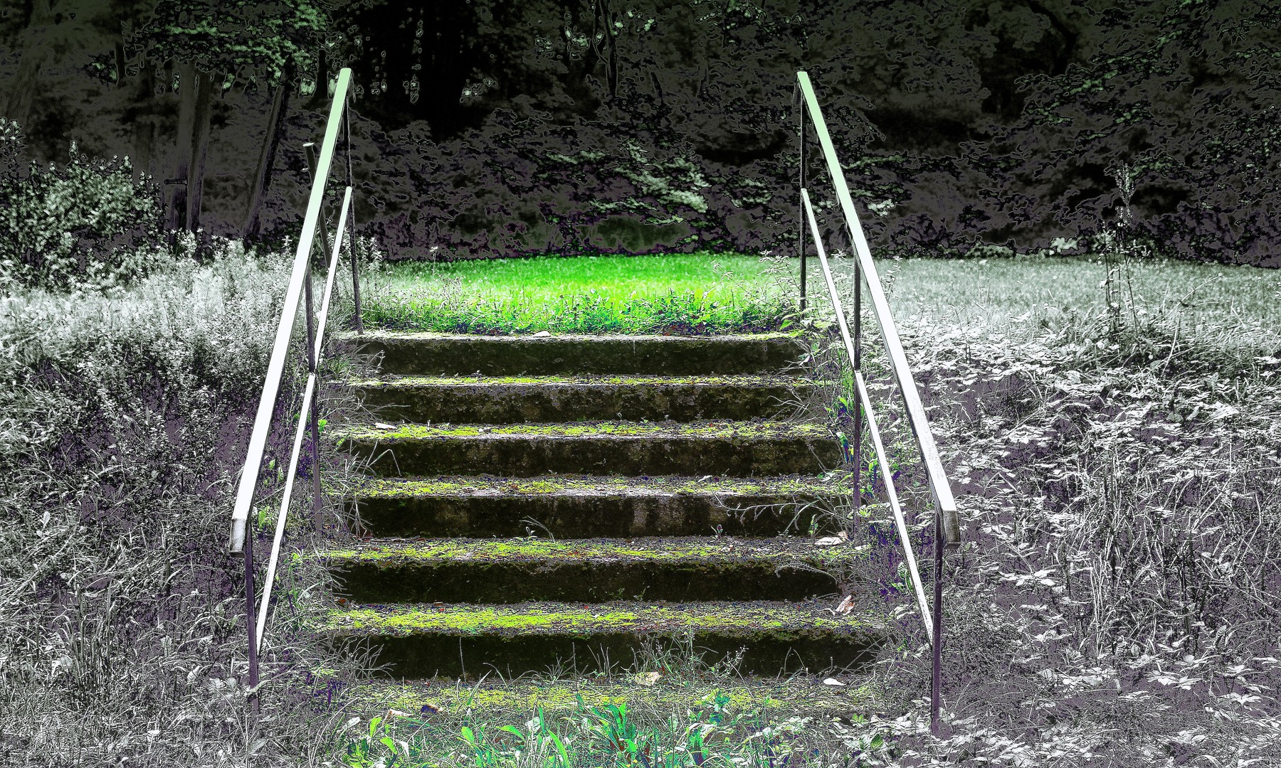 Der Weg ins Nirgendwo