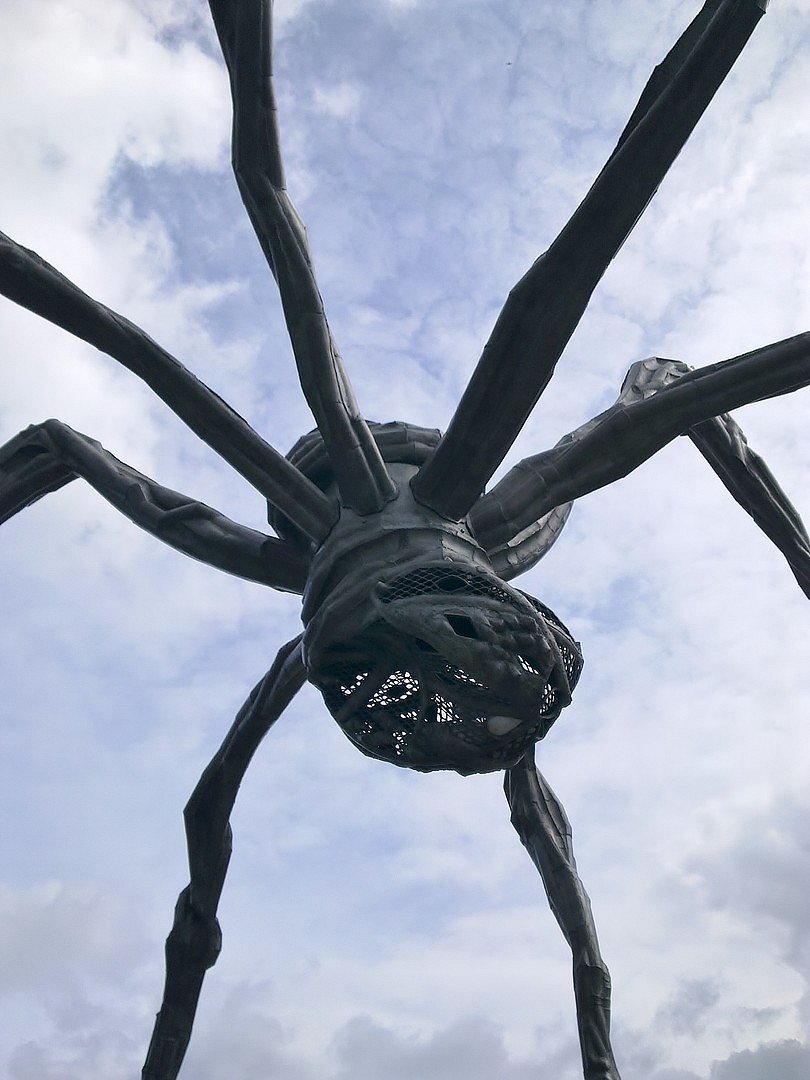 Little Spider
