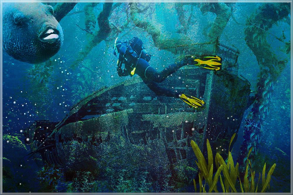 Sea diver