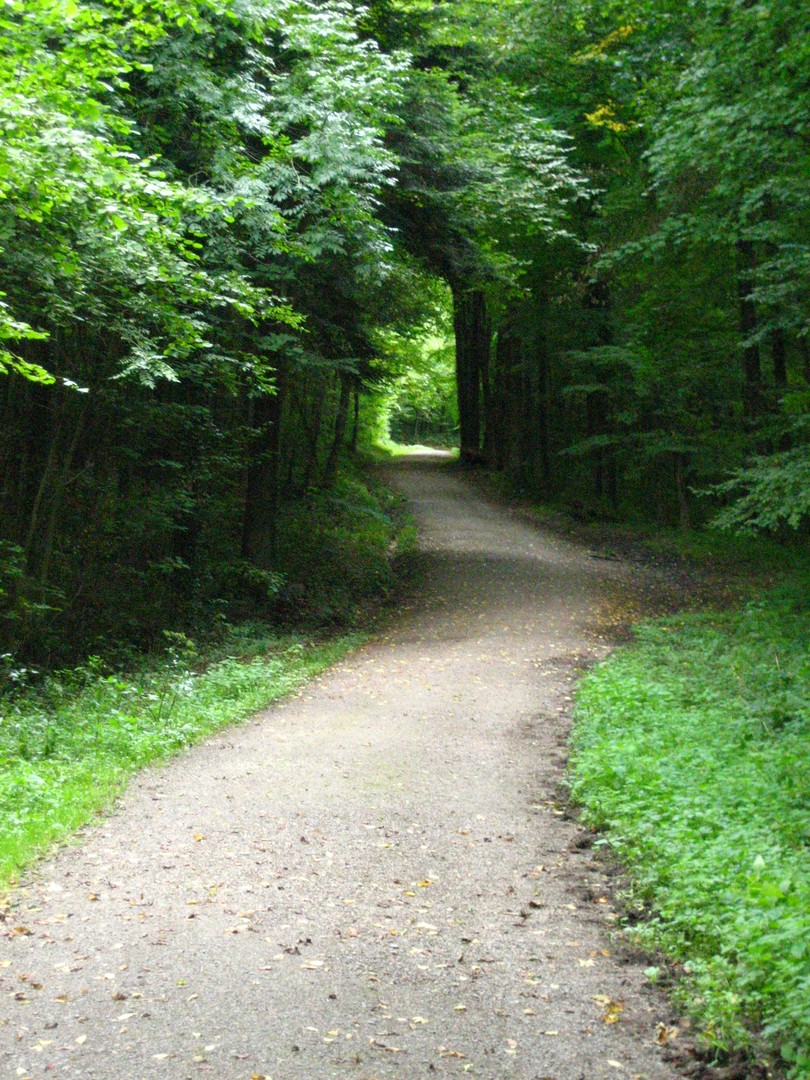 Sonntagsspaziergang ...