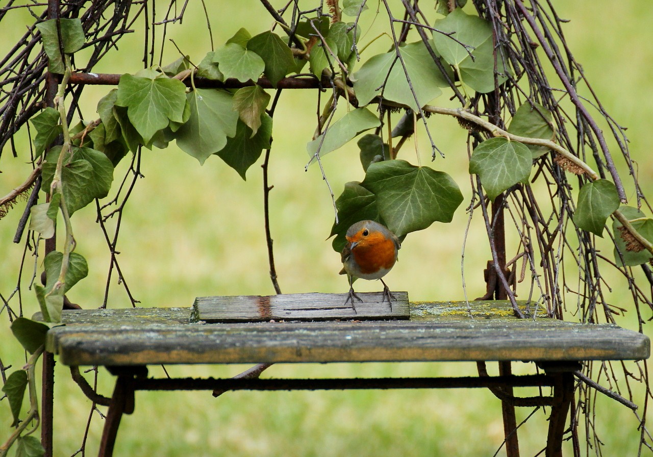 Verwunschener Ruheplatz