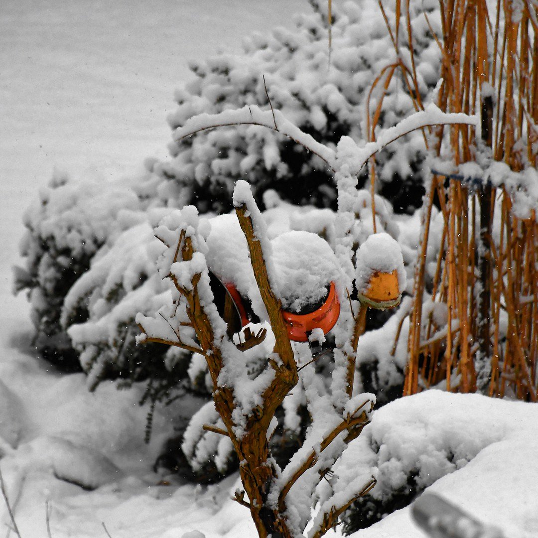 Winterstillleben