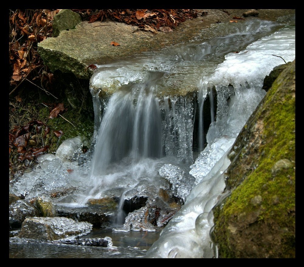 Winter am Bach