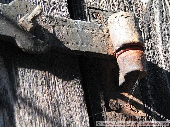 Rost