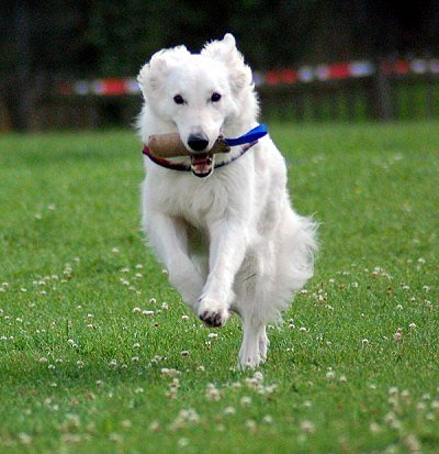 Arbeiten macht Spass