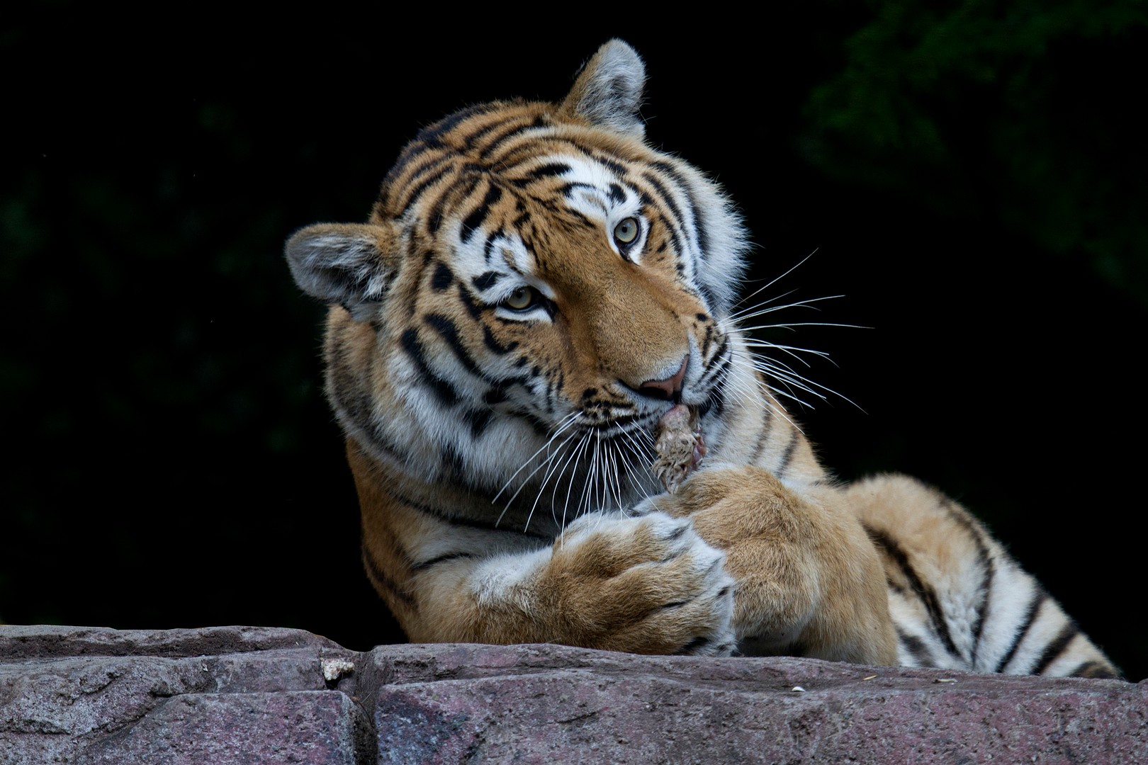 Kleines Häppchen zwischendurch