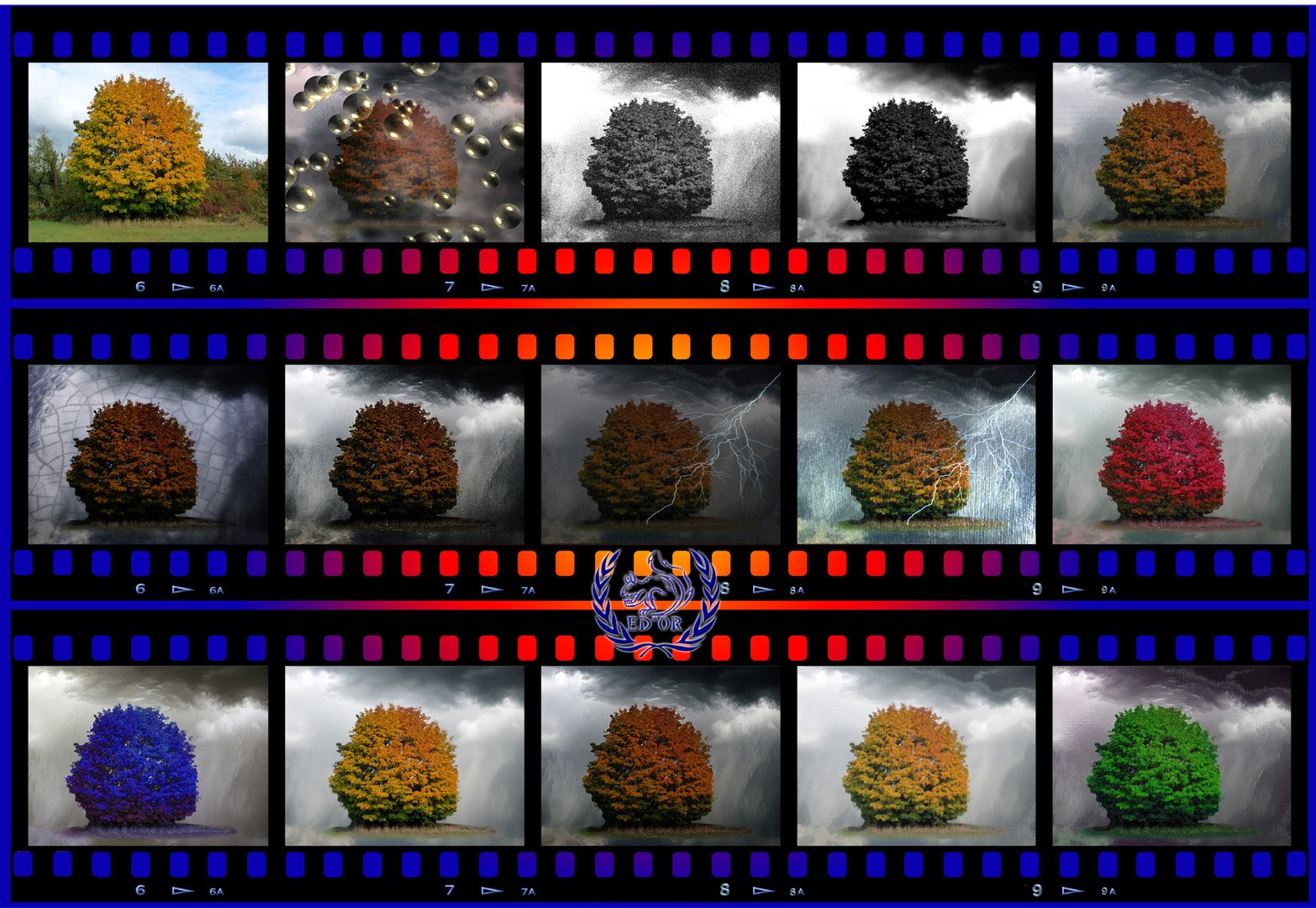 Regenbaum