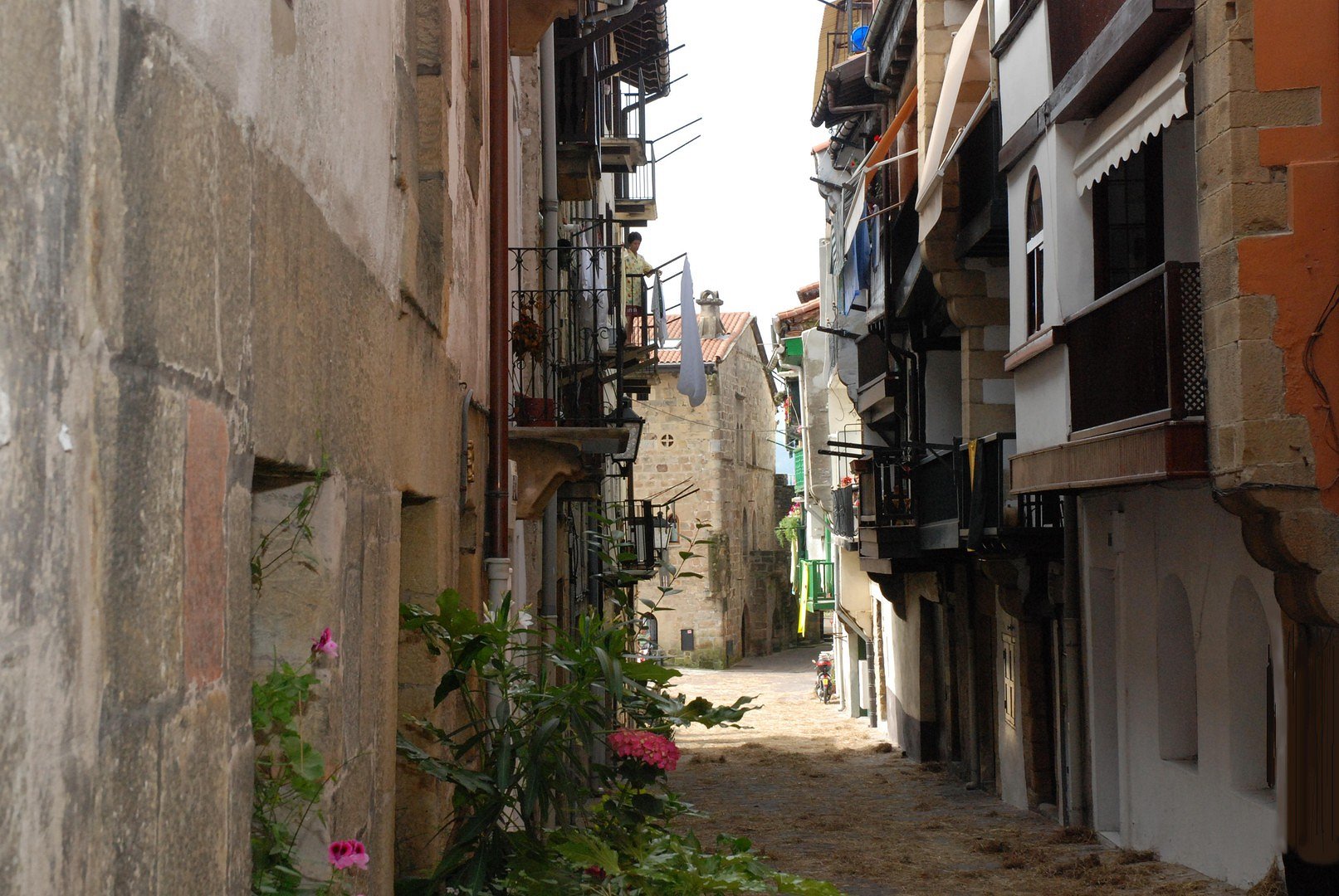 Ruelle