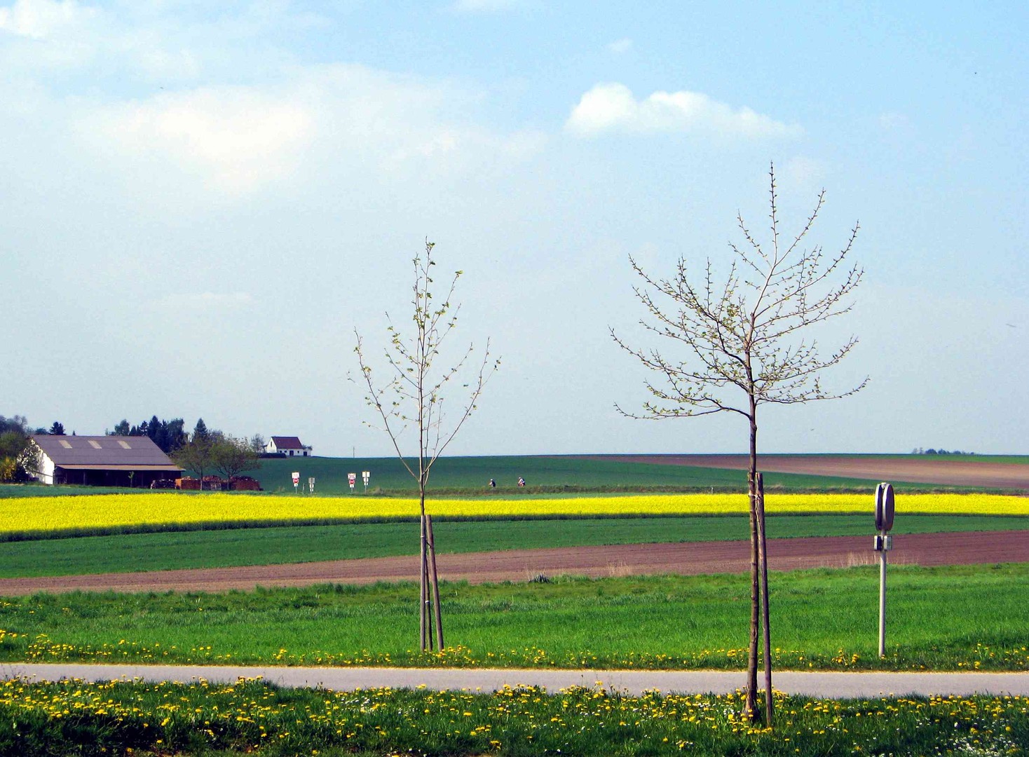 IM LÄNDLE