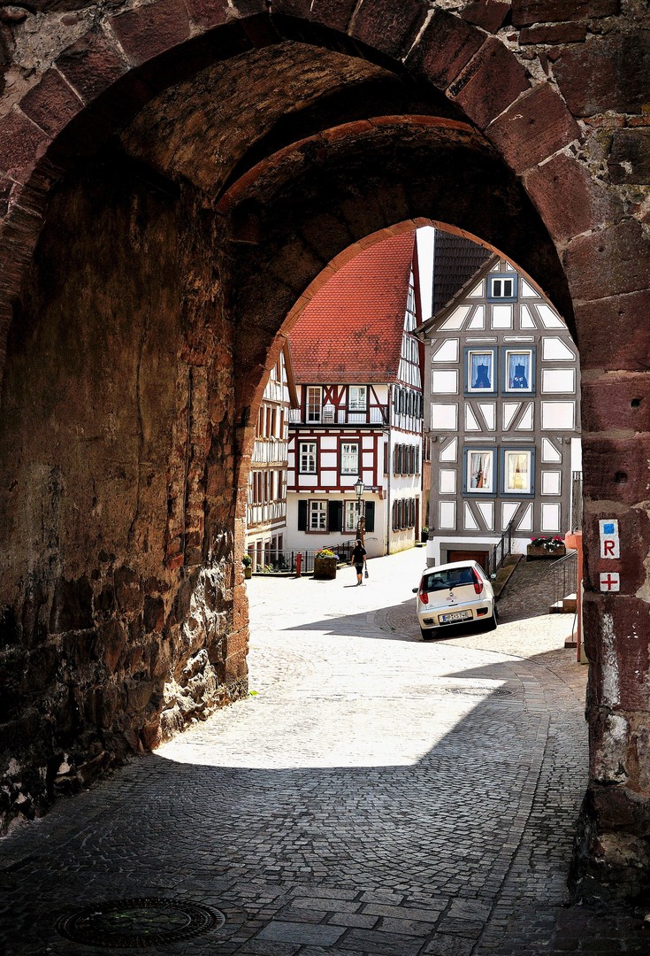Hirschhorn an der Neckarschleife