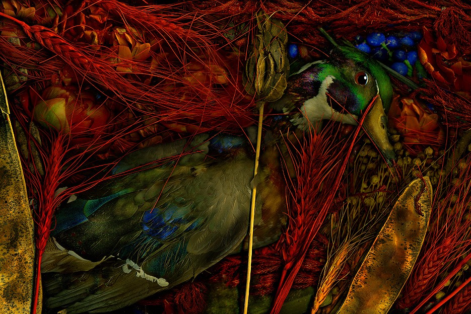 magic garden mimikry