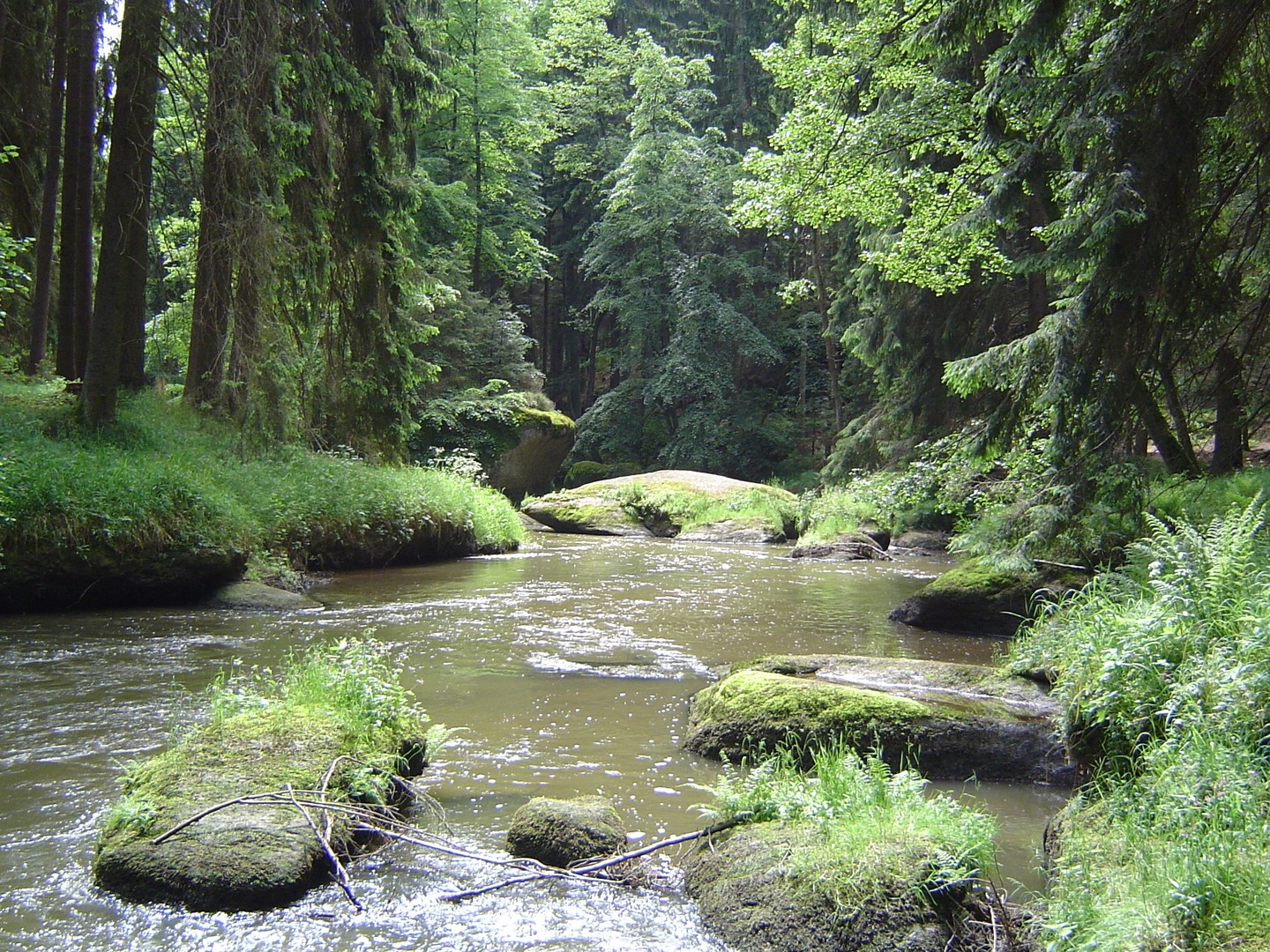 Schönheit der Natur-Part 1