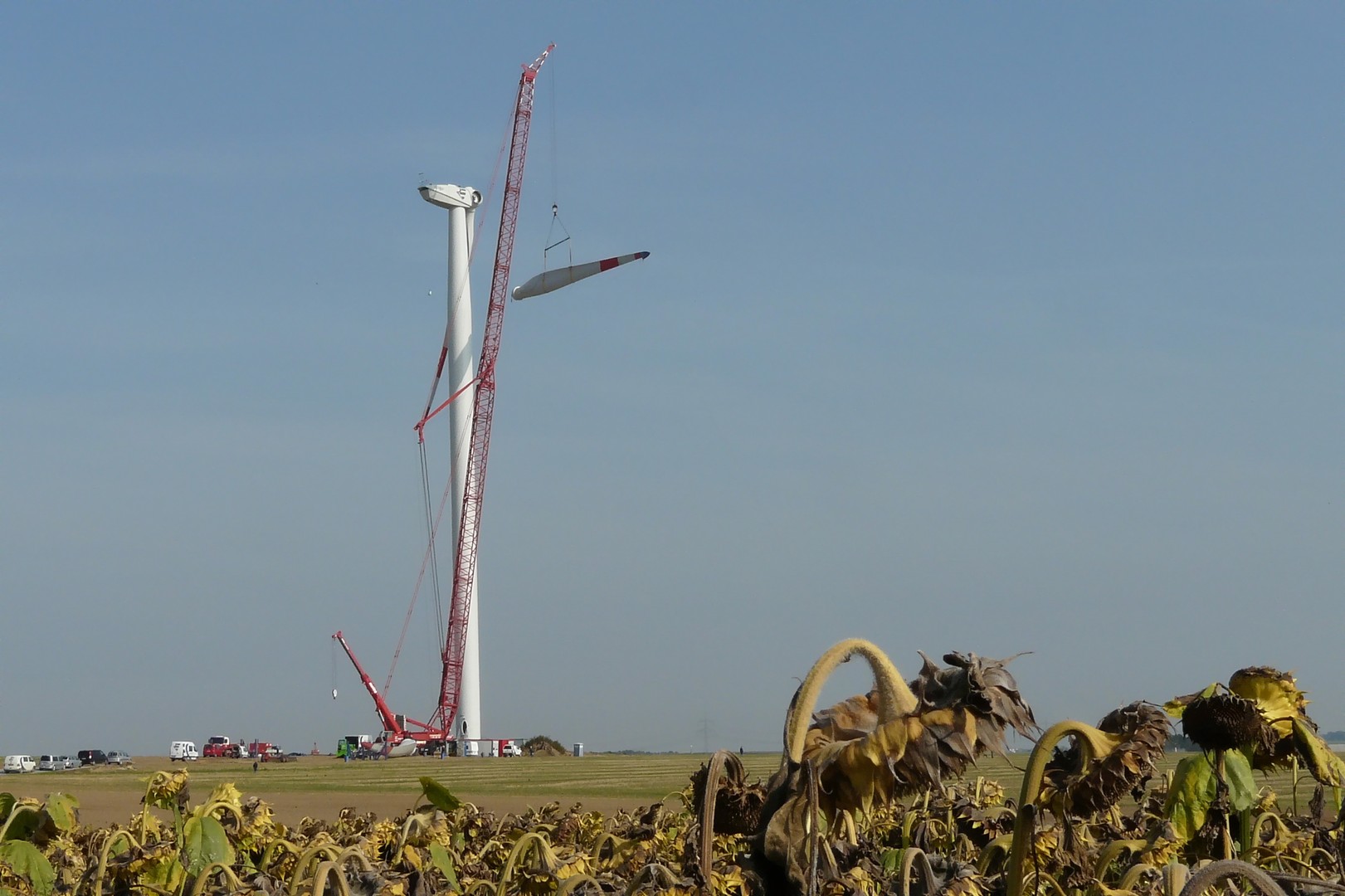 erneuerbare Energie