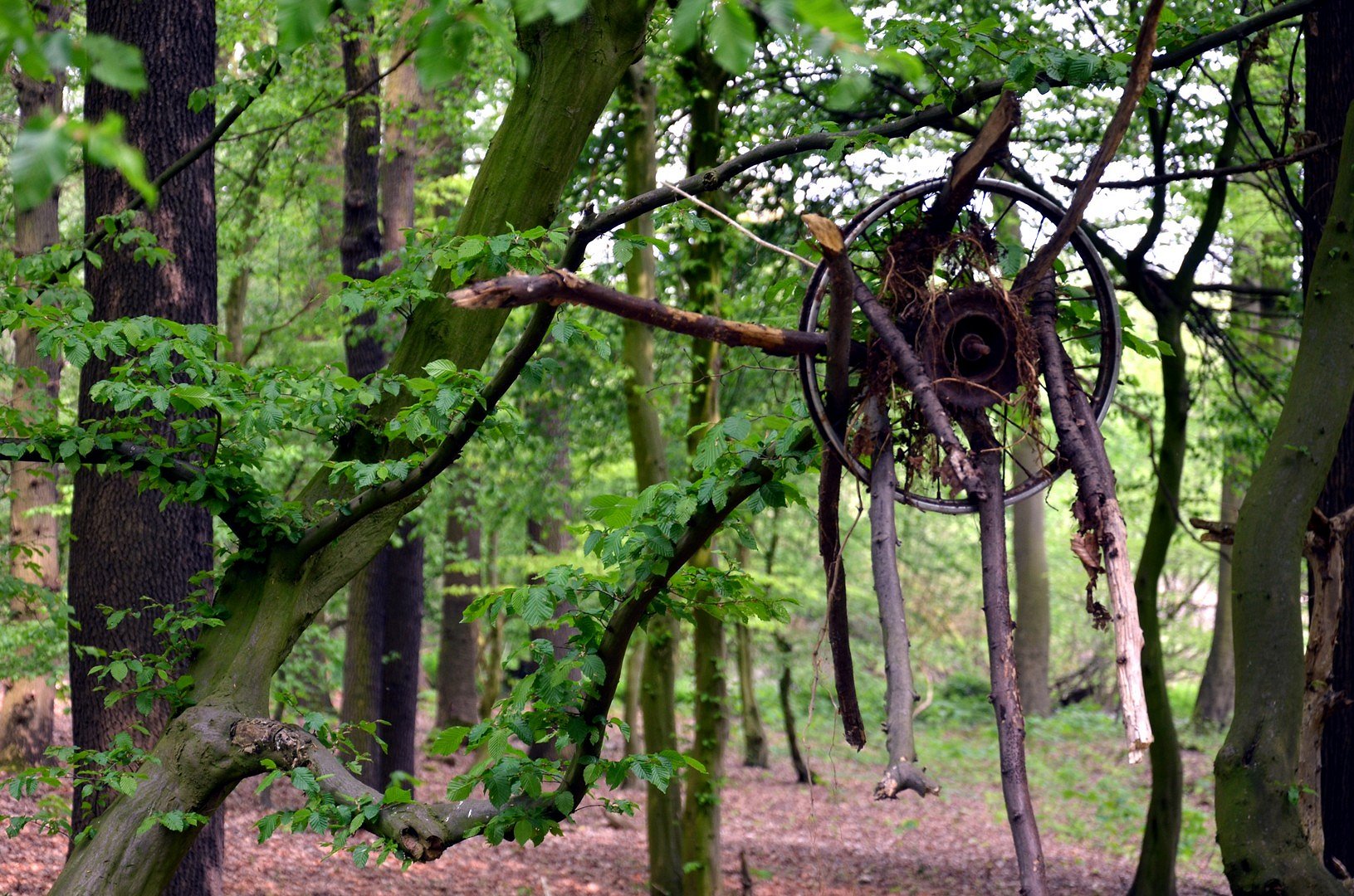 The Blair Witch Project...?