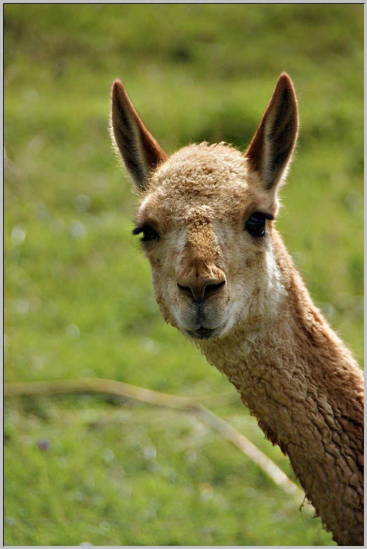 Was guckst Du.!?