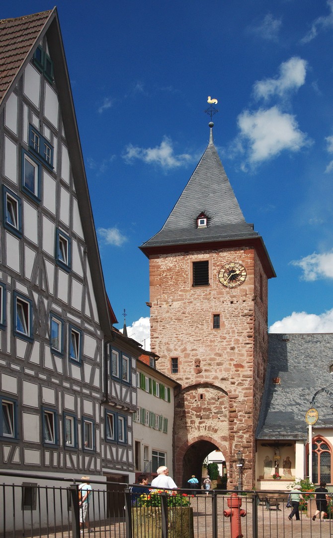 Hirschhorn an der Neckarschleife