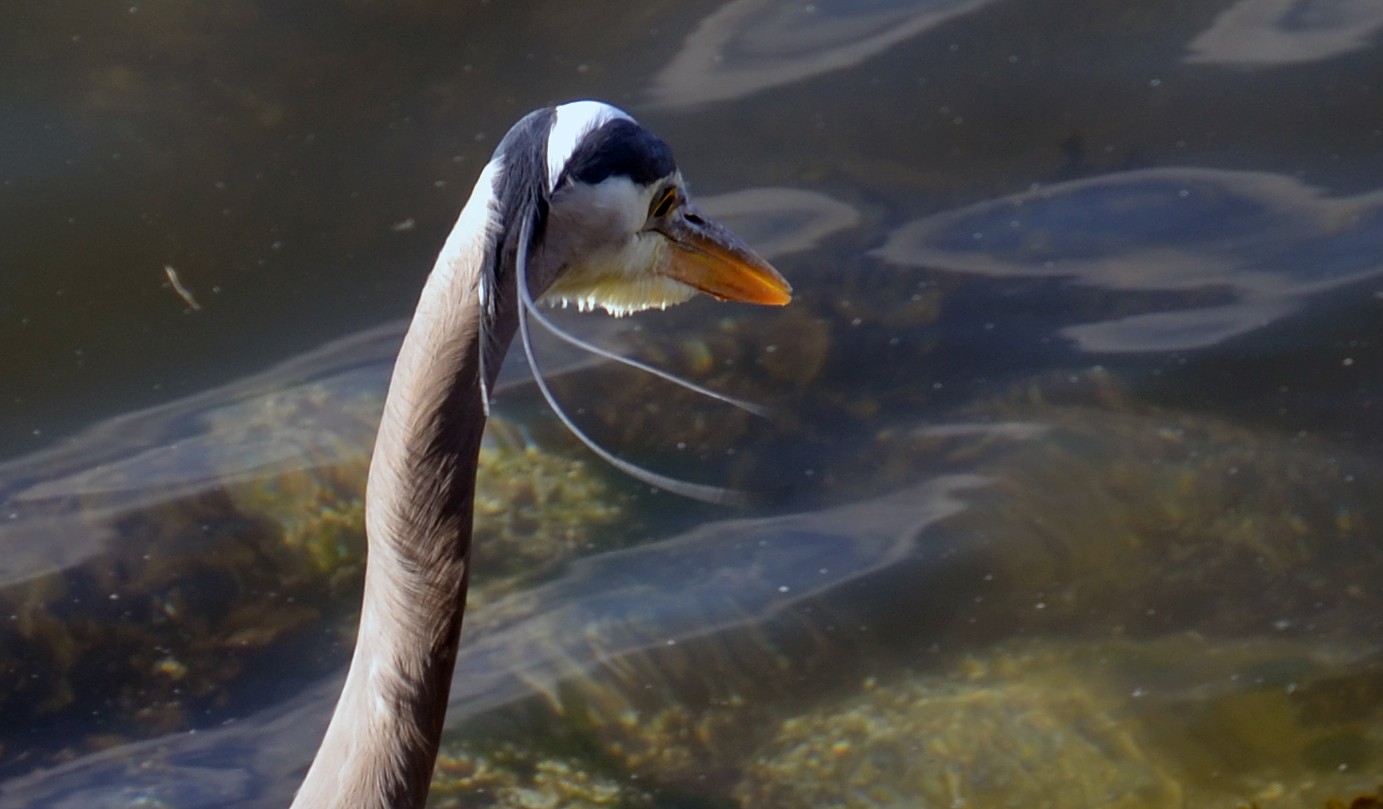 Höchste Konzentration