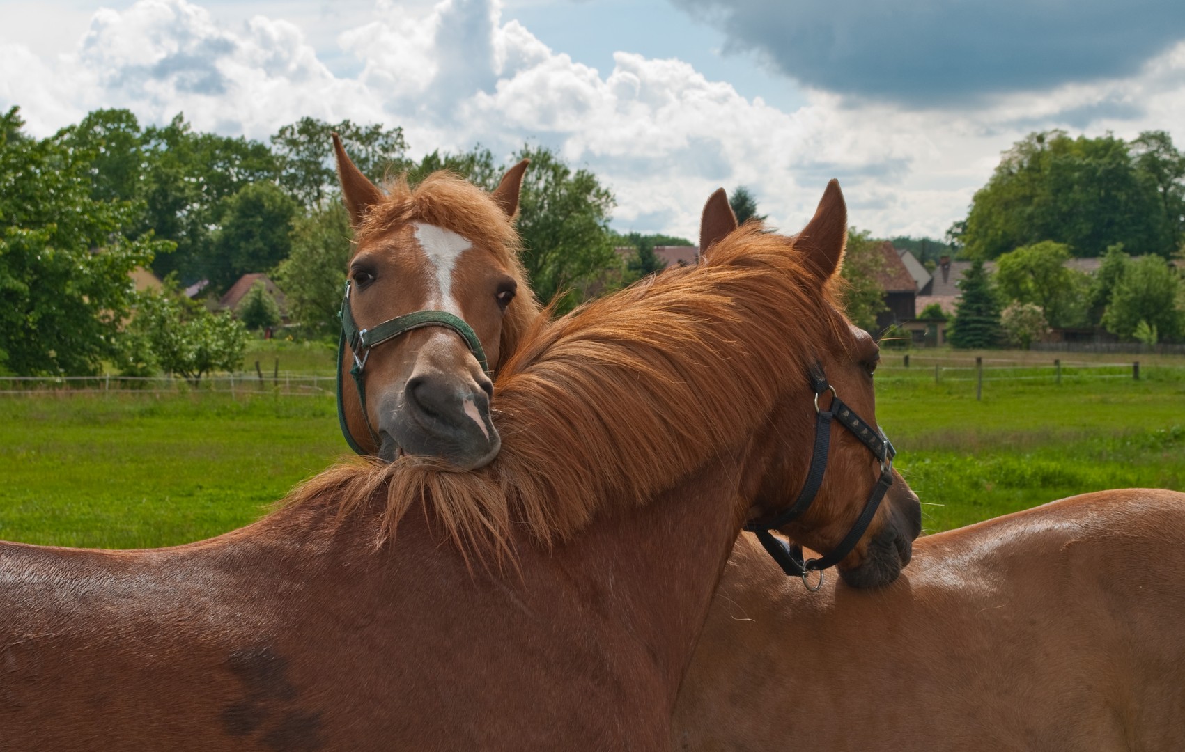 Dich werde ich vernaschen...