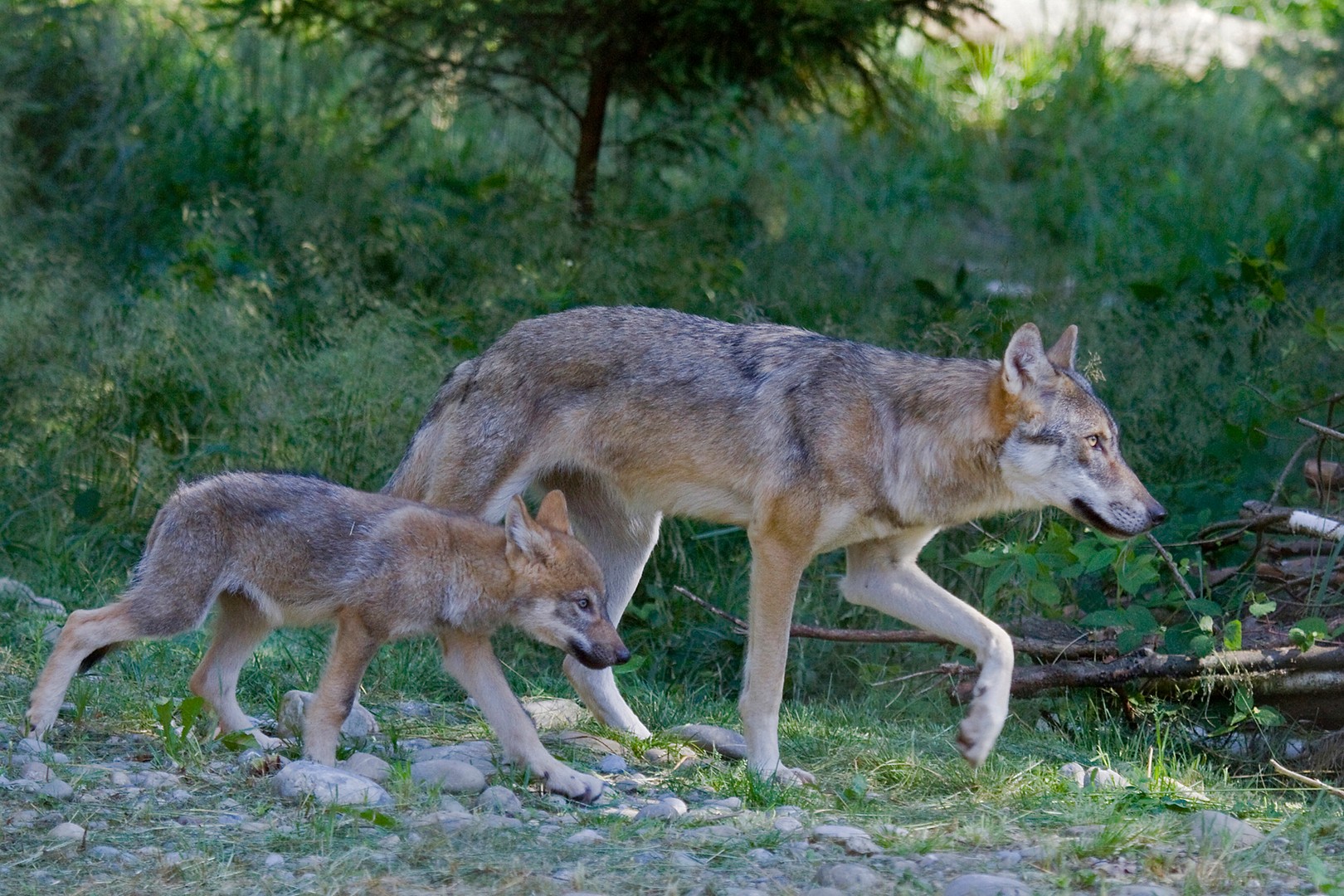 im Gleichschritt, vorwärts marsch....