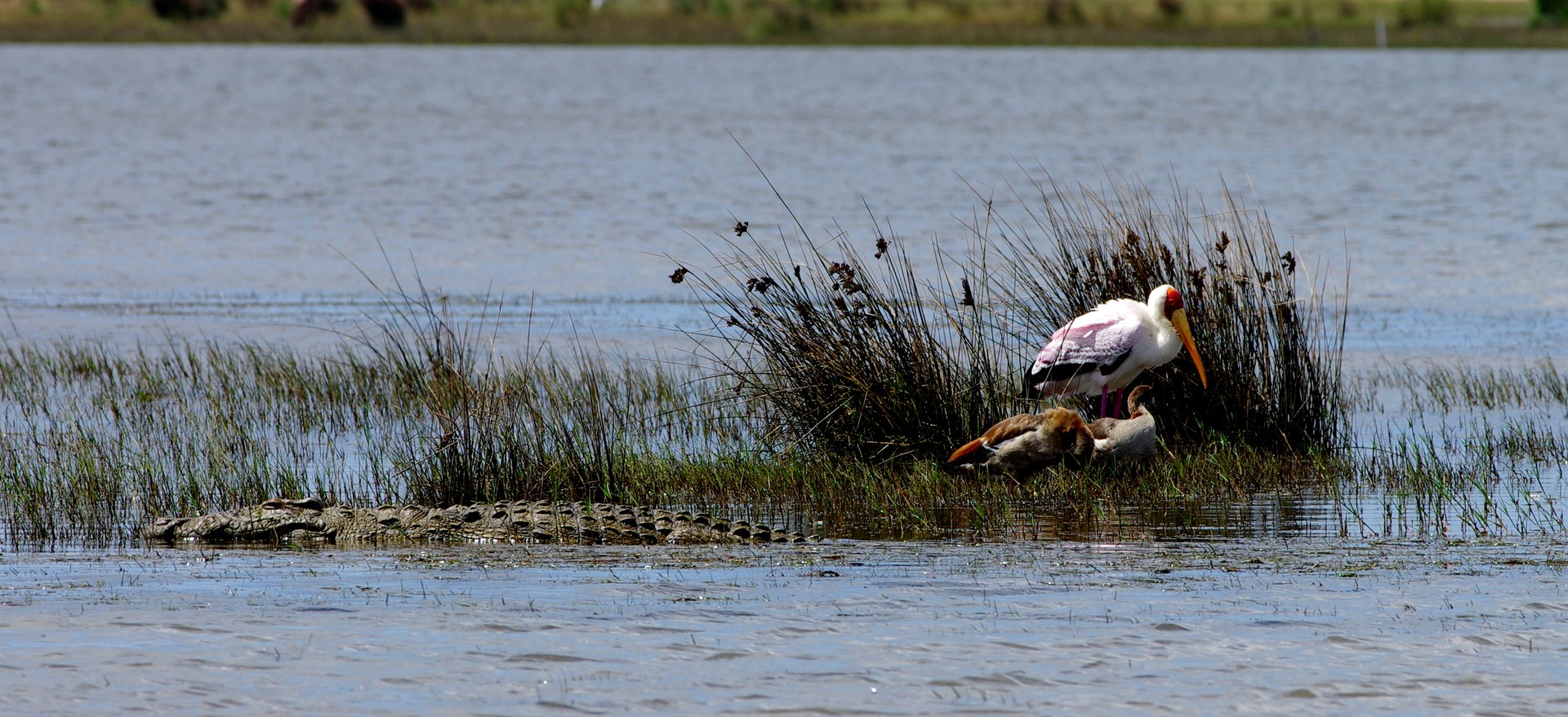 Gemeinsam gehts am besten