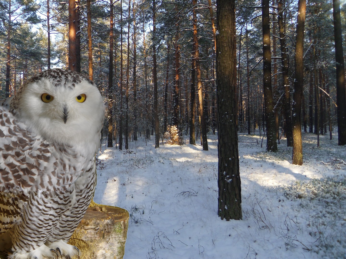 ich habe noch den Überblick