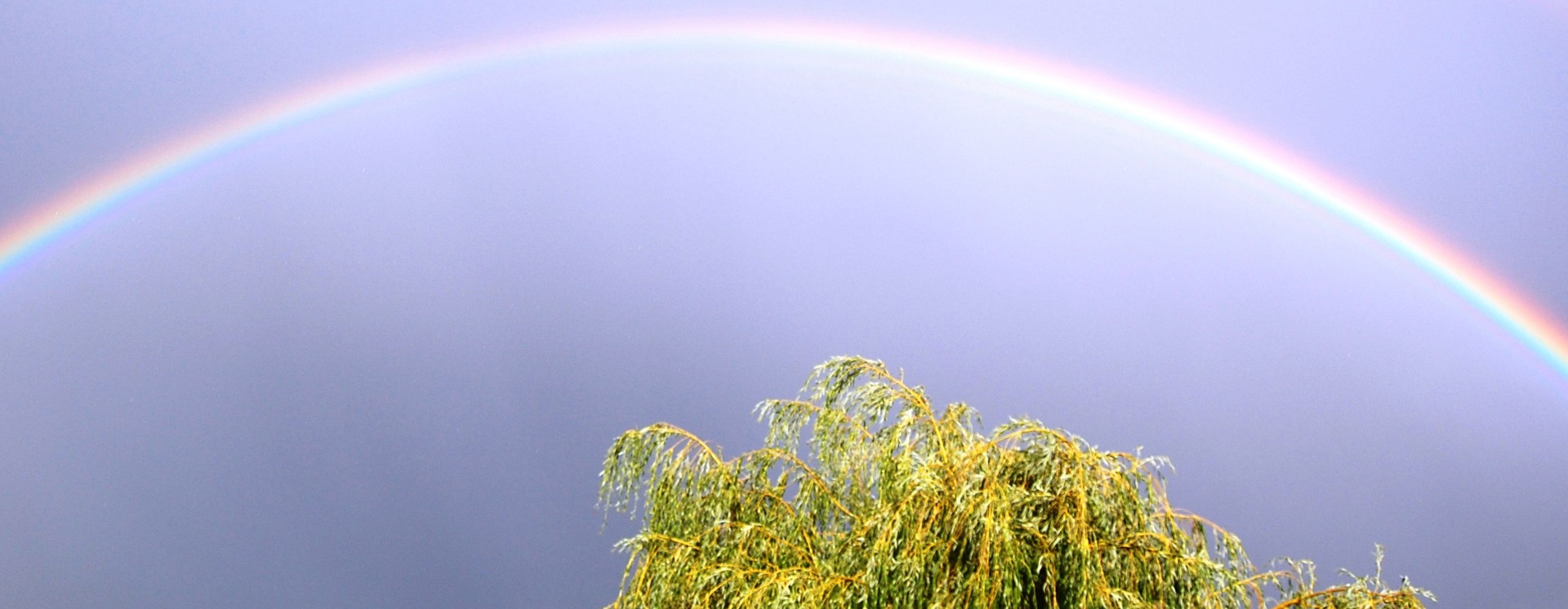 Das Regenbogenwunderland