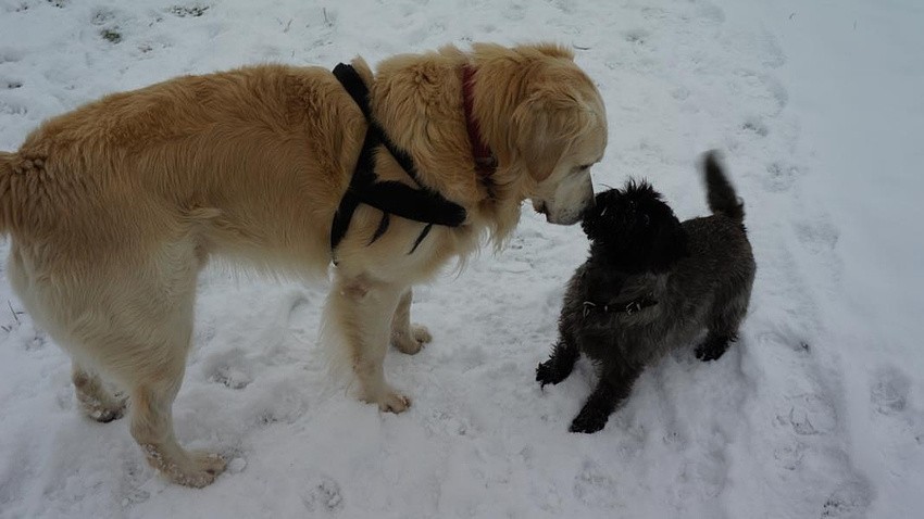 Jolle mit greoßem Freund