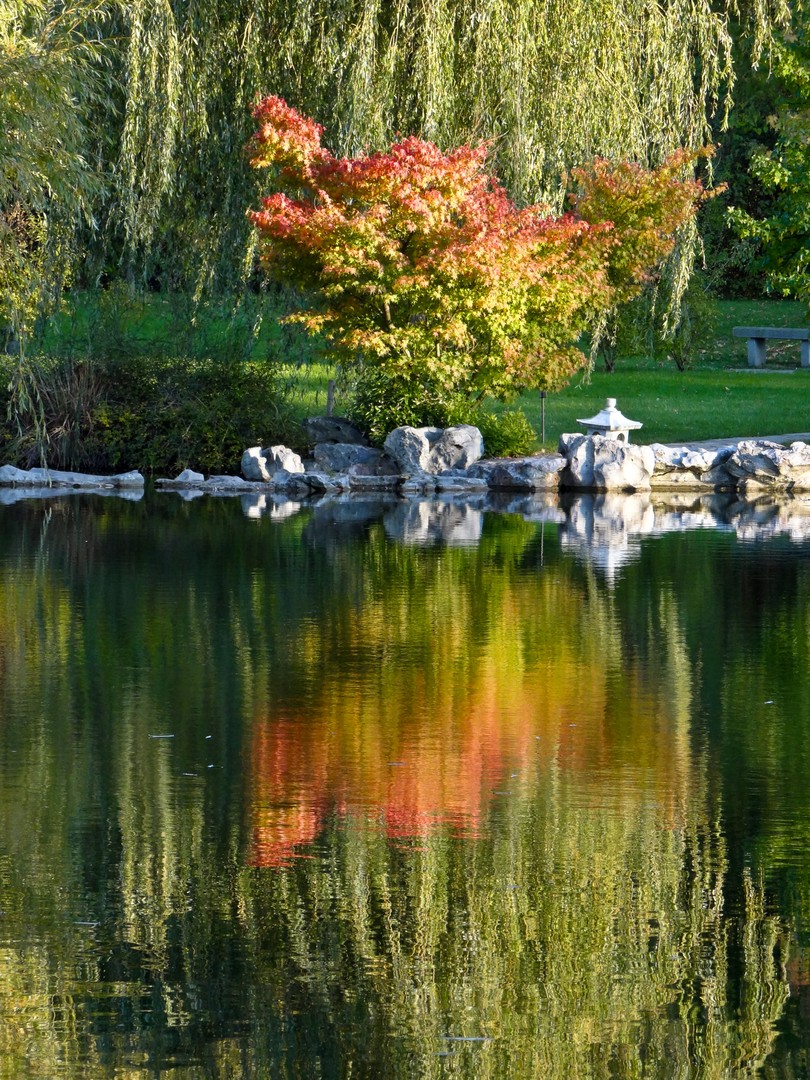 Japanischer Garten