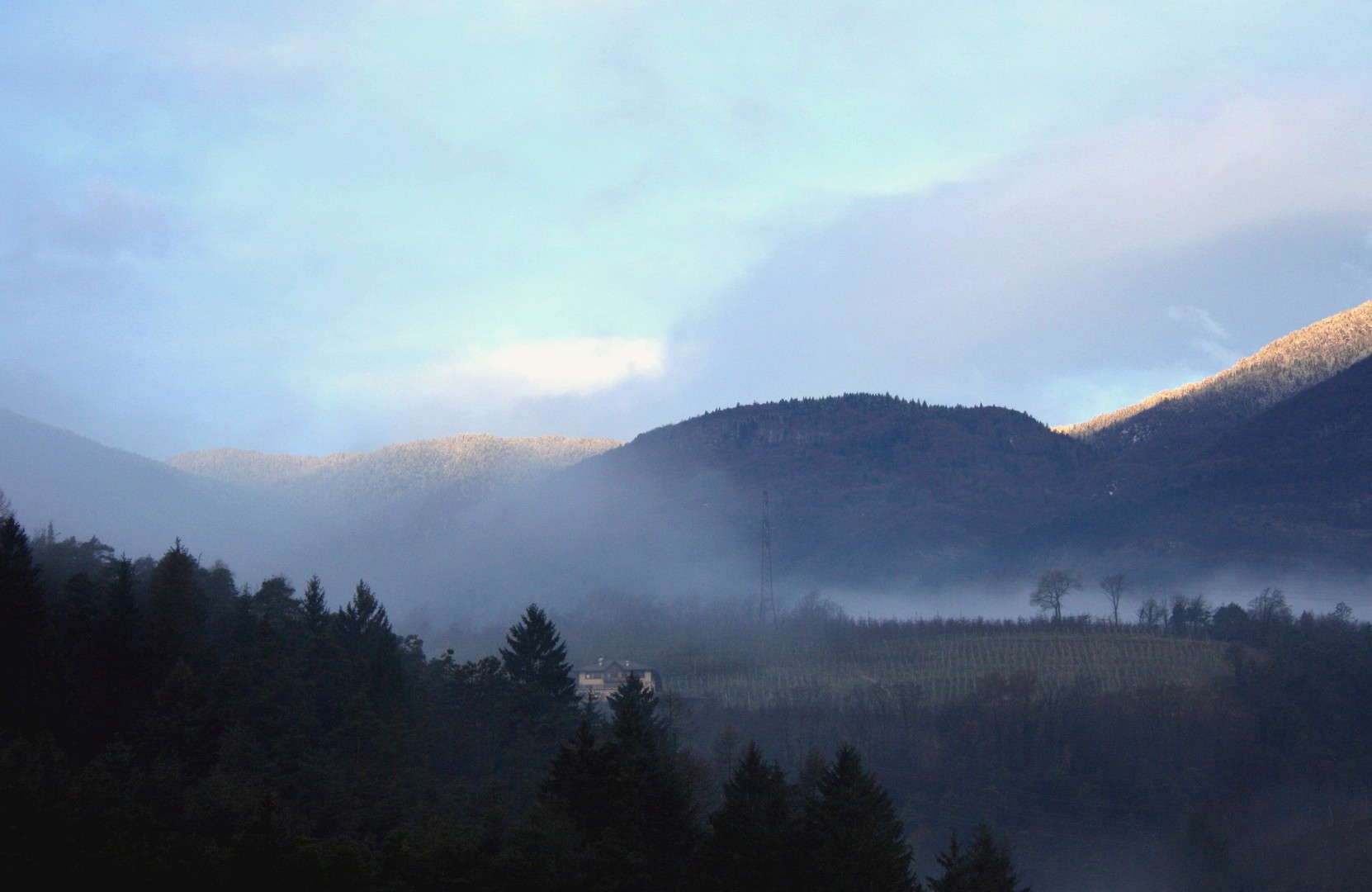morgens